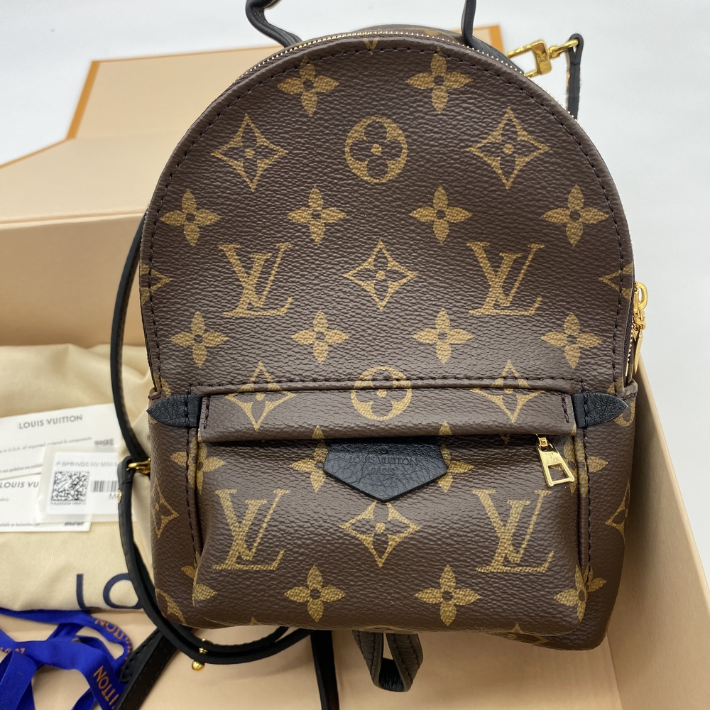 Louis Vuitton Palm Springs Backpack Mini Brown Canvas Monogram